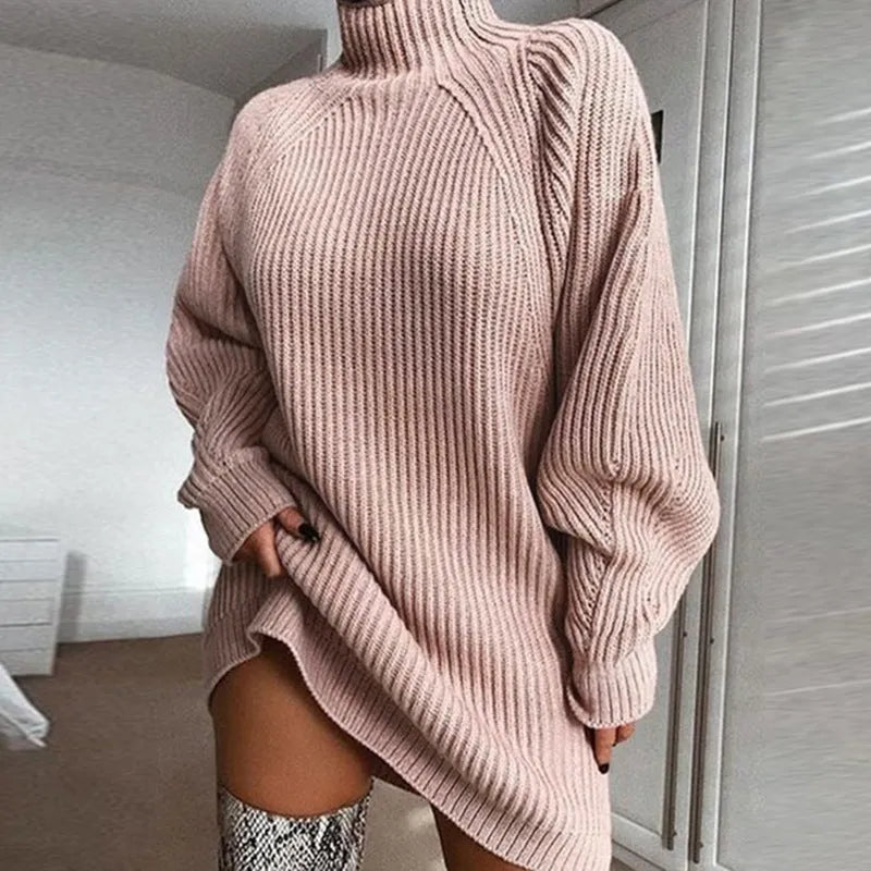 Solid Turtleneck Long Sweater