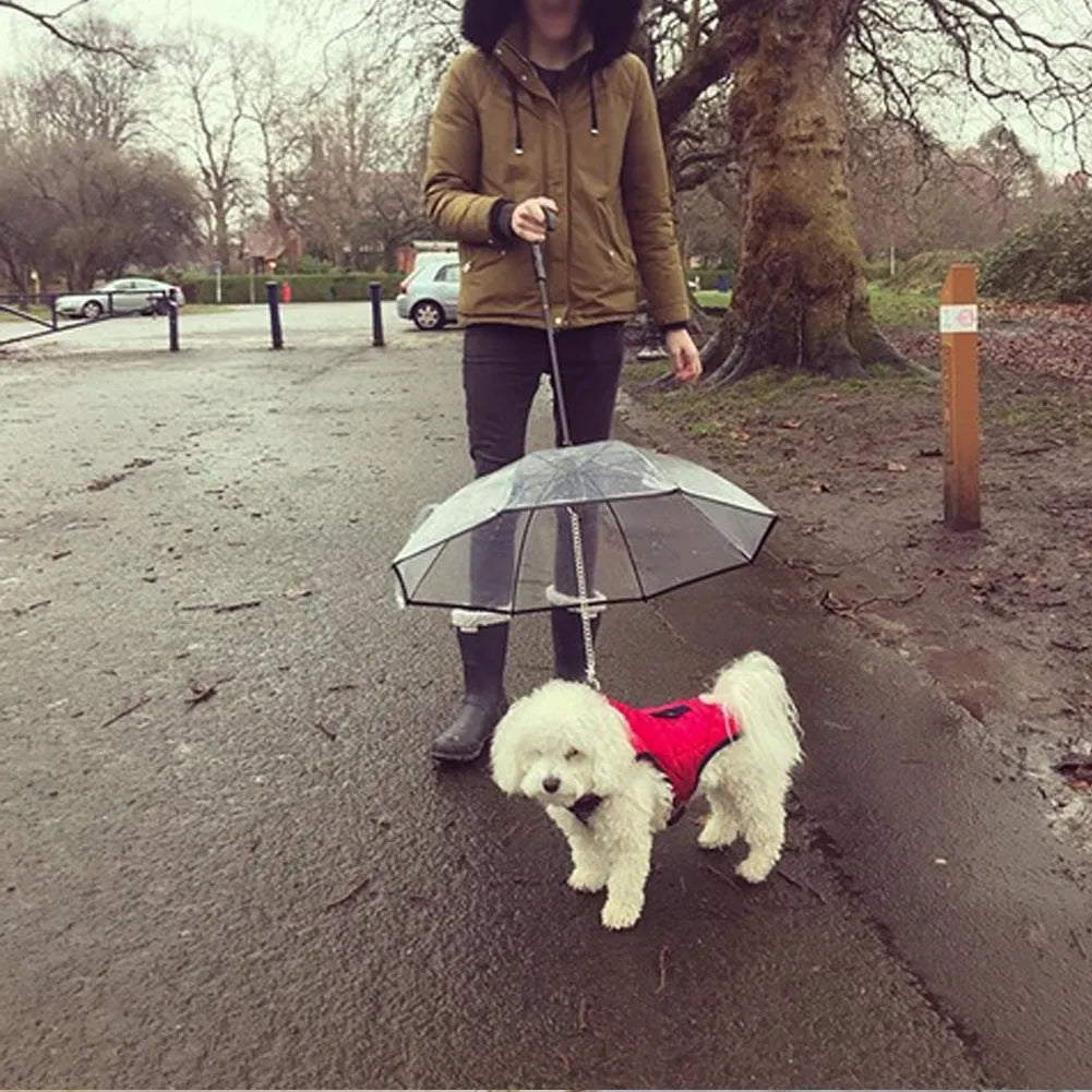 Exclusive Transparent Pet Umbrella Dog | Must have