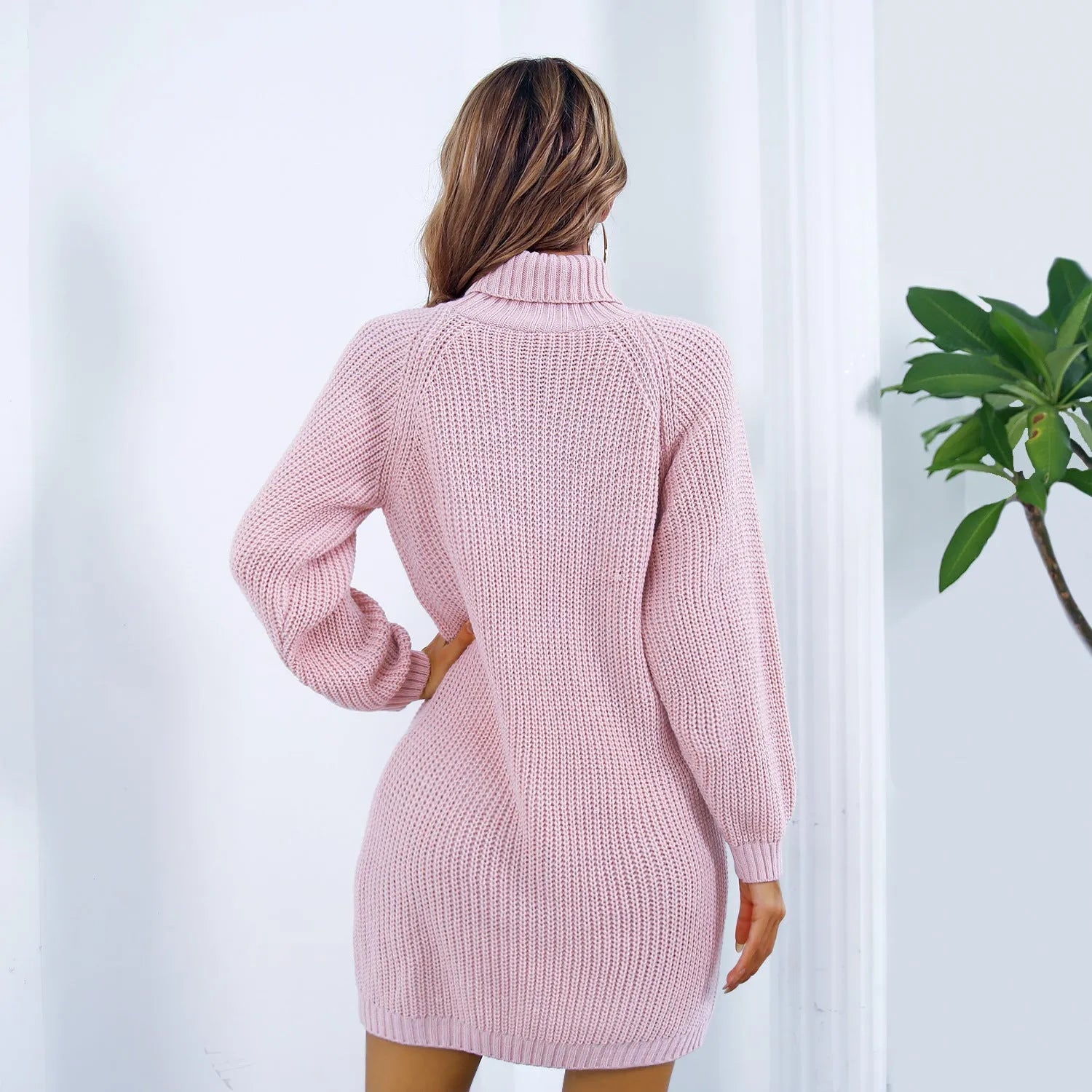 Winter Turtleneck Long Sweater Dress