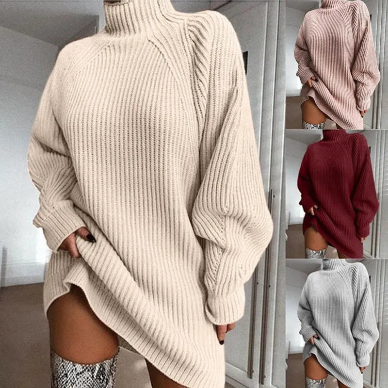 Solid Turtleneck Long Sweater